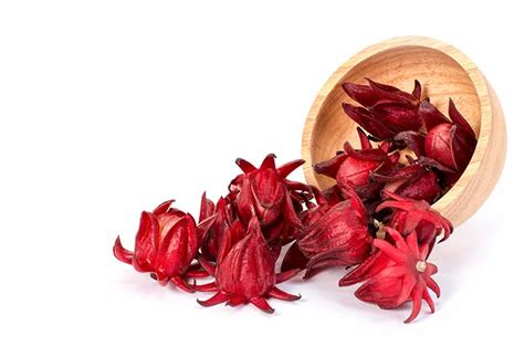 10 Manfaat Bunga Rosella untuk Kesehatan yang Jarang Diketahui