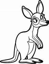 Kangaroo Coloring Pages Printable sketch template