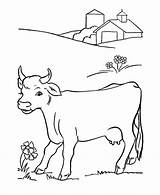 Happy Cow Coloring Page  Free Printable Pages For Kids sketch template