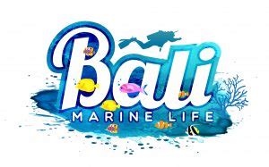 About Bali Marine Life | Bali Marine Life