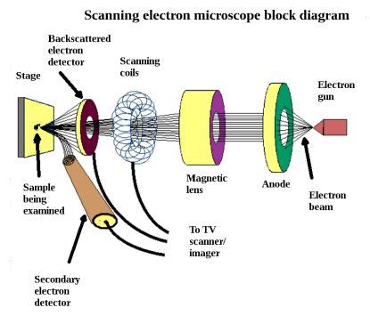 Scanning Tunneling Microscope Diagram