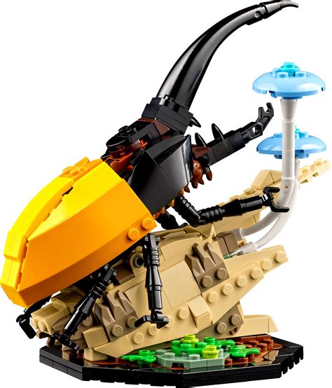 LEGO 21342 Ideas Kolekcja owadów - porównaj ceny - promoklocki.pl