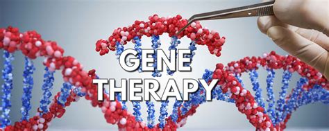 Process Development For Cell Therapy And Viral Gene T - vrogue.co