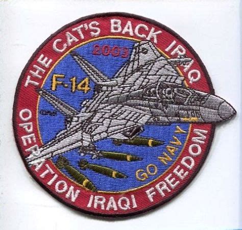 130 Tomcat Squadron badges ideas | f14 tomcat, military patch, military insignia