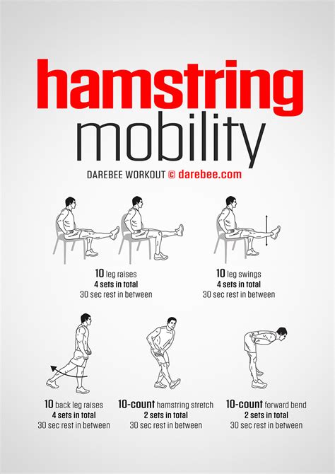 Lower Hamstring Exercises | saffgroup.com