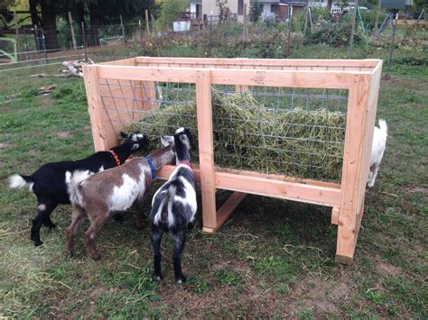 Homemade Goat Feeders For Sale | Goat hay feeder, Hay feeder, Goat feeder