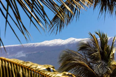 Snow Has Fallen in a Hawaii at Perhaps the Lowest Elevation in History! | Gillybird