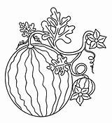 Watermelon Printable For Kids coloring Page  Download Print Or Color sketch template