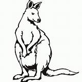 Coloring Kangaroo Face Pages sketch template