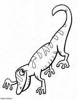 Cartoon Gecko coloring Page sketch template