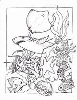 Ocean Creatures Coloring Page  Free Printable Pages For Kids sketch template