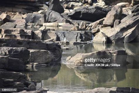 V K Gokak Photos and Premium High Res Pictures - Getty Images