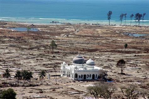 Tsunami 2004 - Japan tsunami 2004, the worst ever tremour that shook ...