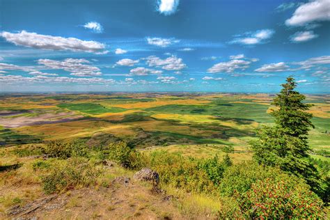 Steptoe Butte View Photograph by David Patterson