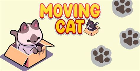 Moving Boxes Cat - CodingTop