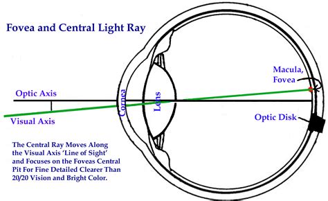 NATURAL EYESIGHT IMPROVEMENT-Bates Method- FREE 'Do It Yourself' Training for Perfect, Clearer ...