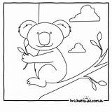 Australian Animals Colouring Pages  Brisbane Kids sketch template