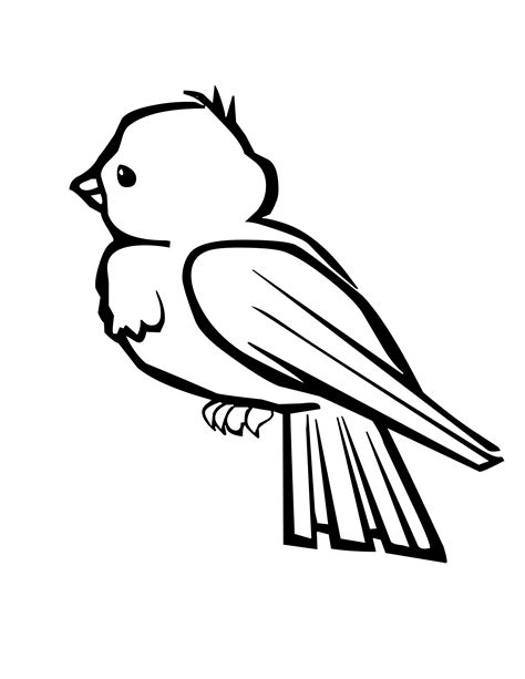 Bird Coloring Pages | Free download on ClipArtMag