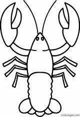 Lobster Coloring Pages 56 Free Printables  ColoringAll sketch template