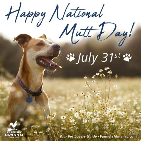 Happy National Mutt Day!!! | National mutt day, Animal hospital, Animal ...