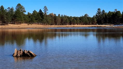 Kaibab Lake 2020 | Lake reflections. 11-15-20. 143857. Photo… | Flickr