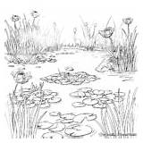 Habitat Coloring Pages  Free & Printable sketch template