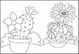 10 Fun Cactus Coloring Pages For Kids Facts And Adaptations  sketch template