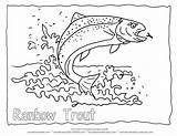 Rainbow Trout Picture To Color 4 Coloring Page With  sketch template