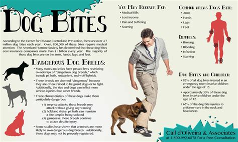 Infographic on Dog Bite Injuries | d'Oliveira & Associates