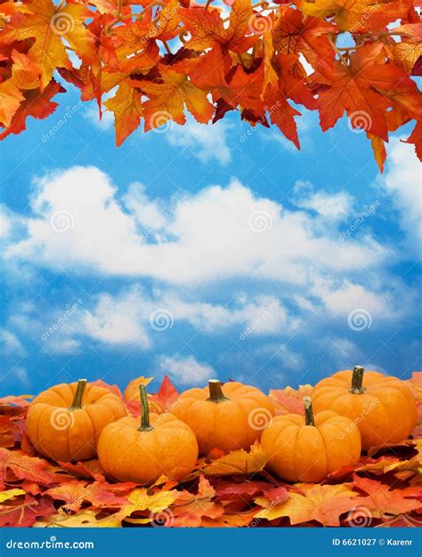 Fall Harvest Border Royalty Free Stock Photography - Image: 6621027