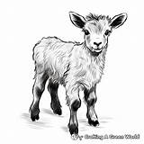 Goat Coloring Pages  Free & Printable sketch template