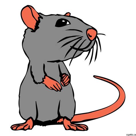 Rat Cartoon Drawing in 4 Steps With Photoshop | Cartoon drawings, Cartoon drawings disney ...