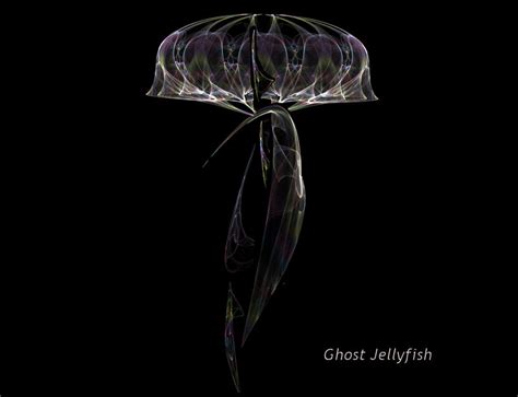 Ghost Jellyfish by djeaton3162 on deviantART