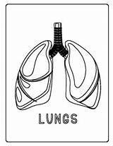 Human Lungs Coloring Page sketch template