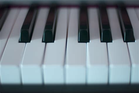 Free Stock Photo 3981-piano keyboard closeup | freeimageslive