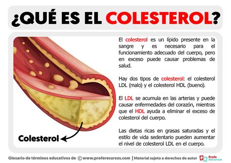 Cual Es El Colesterol Total - Image to u