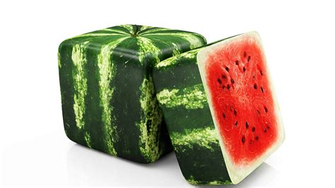 The Story Behind Japan's Square Watermelons, and Their Skyhigh Price - A-Z Animals