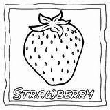 Fruits Coloring Book  Easy And Fun Pages For Kids By sketch template