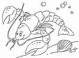 Lobsters Coloring Pages  sketch template