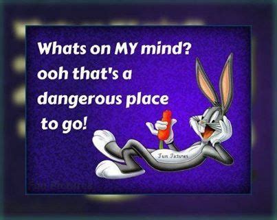 Bugs Bunny Quotes Stupid. QuotesGram