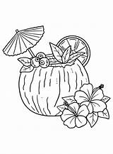 50  Coconut Coloring Pages Free Printable PDF JPG PNG & Online sketch template