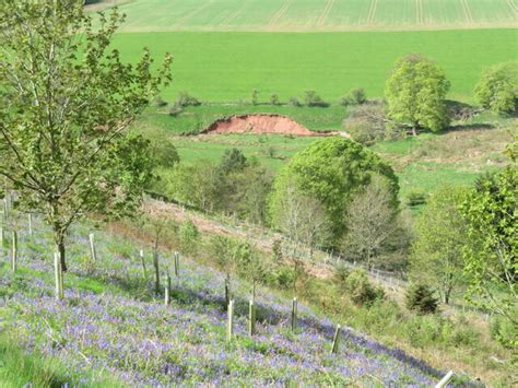 Bank erosion on the Earnscleugh Water © M J Richardson cc-by-sa/2.0 :: Geograph Britain and Ireland