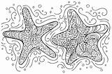 Starfish Art Coloring Page  Free Printable Pages sketch template
