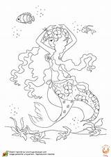  Page 14 Sur 16 HugoLescargotcom Coloriage sirene sketch template