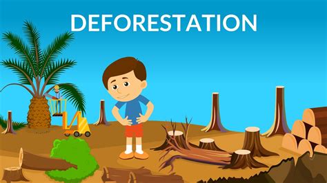 Deforestation | Causes, Effects & Solutions | Video for Kids - YouTube