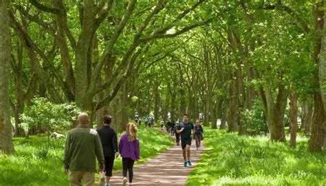 Matariki Trail at Cornwall Park | Auckland for Kids