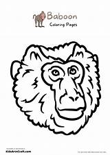 Baboon Coloring Pages For Kids – Free Printables  Art & Craft sketch template