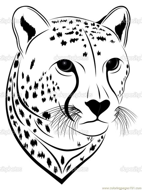 Easy Cheetah Drawing at GetDrawings | Free download