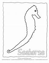 Seahorse Outline Free Coloring Page & Templates  sketch template