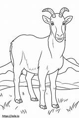 LaMancha Goat cute coloring Page sketch template